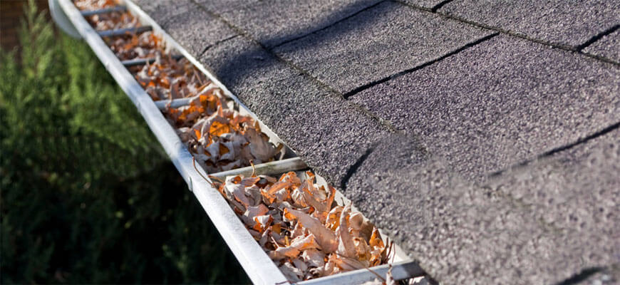 Bellevue Gutters need to be cleaned.